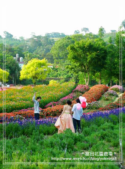 桃園旅遊景點~大溪-富田花園農場 @青青小熊*旅遊札記 桃園旅遊景點~大溪-富田花園農場 @青青小熊*旅遊札記