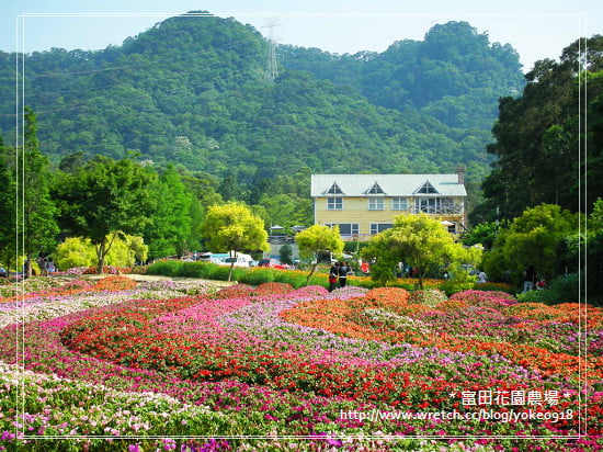 桃園旅遊景點~大溪-富田花園農場 @青青小熊*旅遊札記 桃園旅遊景點~大溪-富田花園農場 @青青小熊*旅遊札記