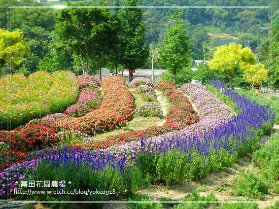 桃園旅遊景點~大溪-富田花園農場 @青青小熊*旅遊札記 桃園旅遊景點~大溪-富田花園農場 @青青小熊*旅遊札記