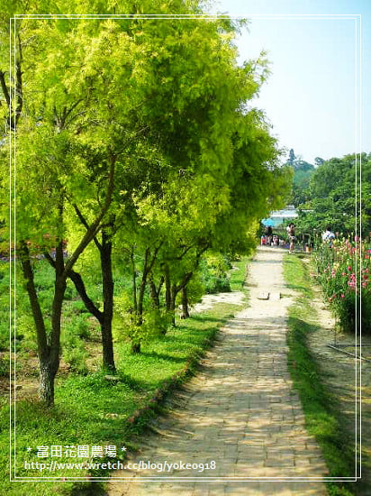 桃園旅遊景點~大溪-富田花園農場 @青青小熊*旅遊札記 桃園旅遊景點~大溪-富田花園農場 @青青小熊*旅遊札記