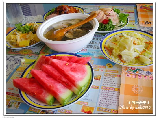 桃園旅遊景點~向陽農場賞花去 @青青小熊*旅遊札記