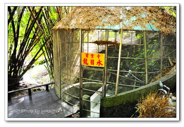 [小琉球旅遊]小琉球漫遊～人文之旅 @青青小熊＊旅遊札記