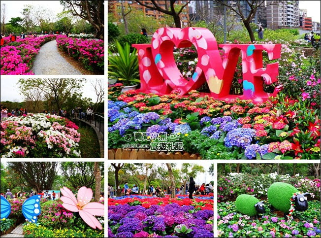 台北景點》2022台北杜鵑花季&繡球花季．森林公園內的花園 @青青小熊＊旅遊札記