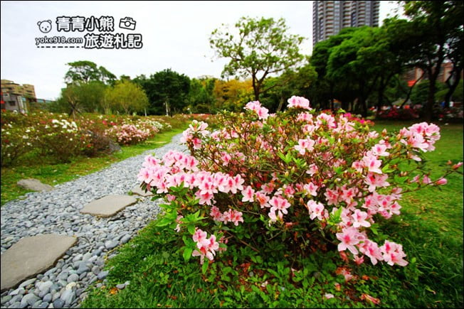 台北景點》2022台北杜鵑花季&繡球花季．森林公園內的花園 @青青小熊＊旅遊札記