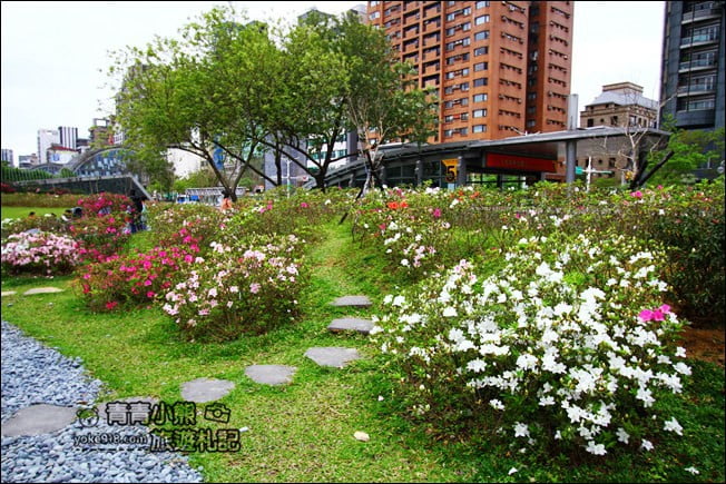 台北景點》2022台北杜鵑花季&繡球花季．森林公園內的花園 @青青小熊＊旅遊札記