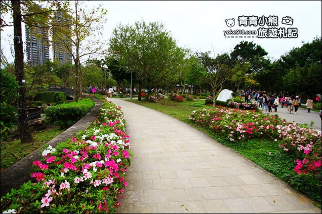 台北景點》2022台北杜鵑花季&繡球花季．森林公園內的花園 @青青小熊＊旅遊札記