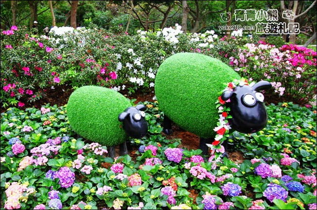 台北景點》2022台北杜鵑花季&繡球花季．森林公園內的花園 @青青小熊＊旅遊札記