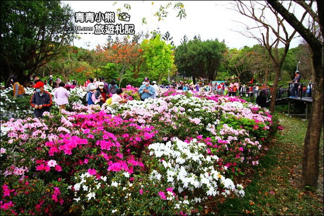 台北景點》2022台北杜鵑花季&繡球花季．森林公園內的花園 @青青小熊＊旅遊札記