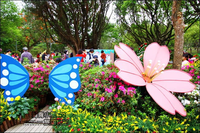 台北景點》2022台北杜鵑花季&繡球花季．森林公園內的花園 @青青小熊＊旅遊札記