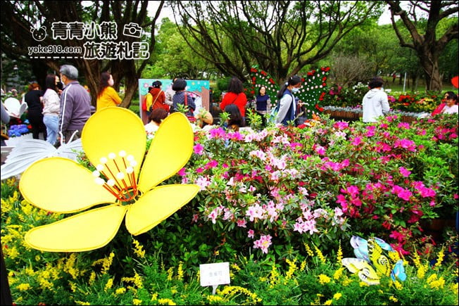 台北景點》2022台北杜鵑花季&繡球花季．森林公園內的花園 @青青小熊＊旅遊札記