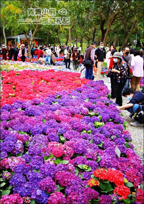 台北景點》2022台北杜鵑花季&繡球花季．森林公園內的花園 @青青小熊＊旅遊札記