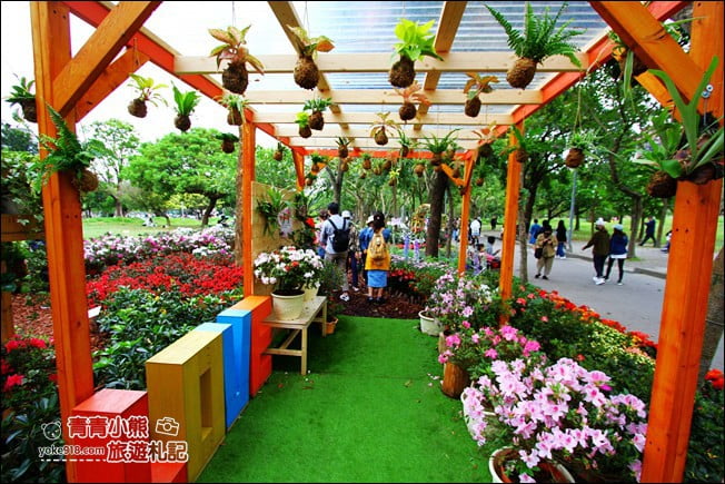 台北景點》2022台北杜鵑花季&繡球花季．森林公園內的花園 @青青小熊＊旅遊札記