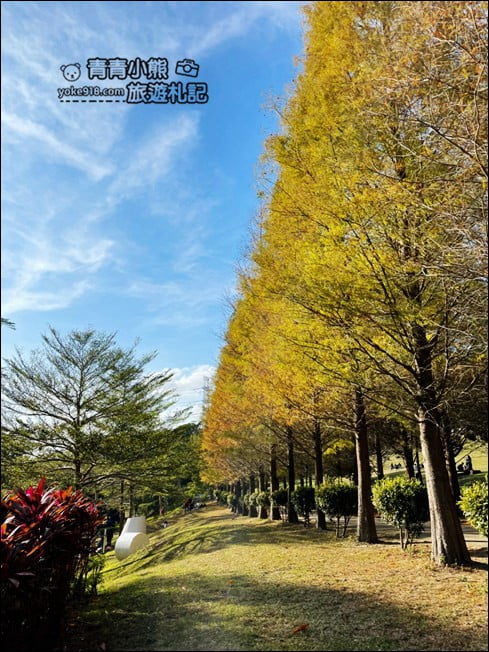 新竹景點》小森之歌景觀餐廳.大草皮、教堂~散步拍照去 @青青小熊*旅遊札記 新竹景點》小森之歌景觀餐廳.大草皮、教堂~散步拍照去 @青青小熊*旅遊札記