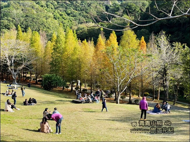 新竹景點》小森之歌景觀餐廳.大草皮、教堂~散步拍照去 @青青小熊*旅遊札記 新竹景點》小森之歌景觀餐廳.大草皮、教堂~散步拍照去 @青青小熊*旅遊札記
