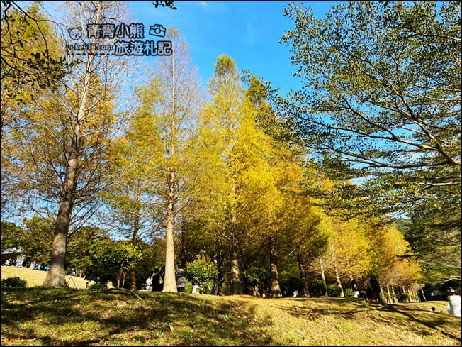 新竹景點》小森之歌景觀餐廳.大草皮、教堂~散步拍照去 @青青小熊*旅遊札記 新竹景點》小森之歌景觀餐廳.大草皮、教堂~散步拍照去 @青青小熊*旅遊札記
