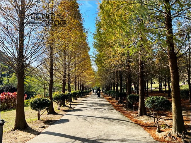 新竹景點》小森之歌景觀餐廳.大草皮、教堂~散步拍照去 @青青小熊*旅遊札記 新竹景點》小森之歌景觀餐廳.大草皮、教堂~散步拍照去 @青青小熊*旅遊札記