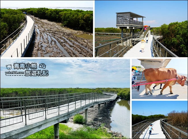 彰化新景點》芳苑濕地海空步道.最新紅樹林溼地步道~來去散散步 @青青小熊*旅遊札記 彰化新景點》芳苑濕地海空步道.最新紅樹林溼地步道~來去散散步 @青青小熊*旅遊札記