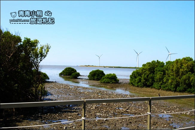 彰化新景點》芳苑濕地海空步道．最新紅樹林溼地步道~來去散散步 @青青小熊＊旅遊札記