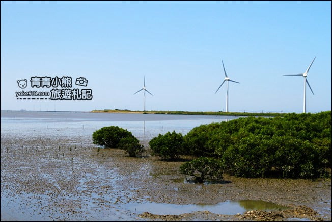 彰化新景點》芳苑濕地海空步道.最新紅樹林溼地步道~來去散散步 @青青小熊*旅遊札記 彰化新景點》芳苑濕地海空步道.最新紅樹林溼地步道~來去散散步 @青青小熊*旅遊札記