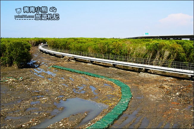 彰化新景點》芳苑濕地海空步道．最新紅樹林溼地步道~來去散散步 @青青小熊＊旅遊札記