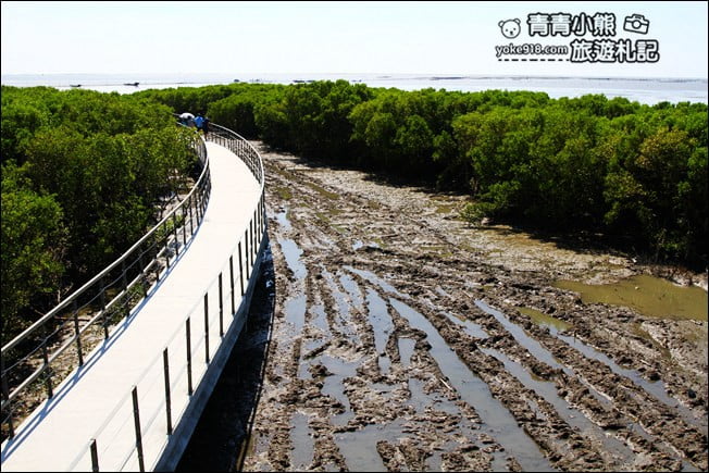 彰化新景點》芳苑濕地海空步道.最新紅樹林溼地步道~來去散散步 @青青小熊*旅遊札記 彰化新景點》芳苑濕地海空步道.最新紅樹林溼地步道~來去散散步 @青青小熊*旅遊札記