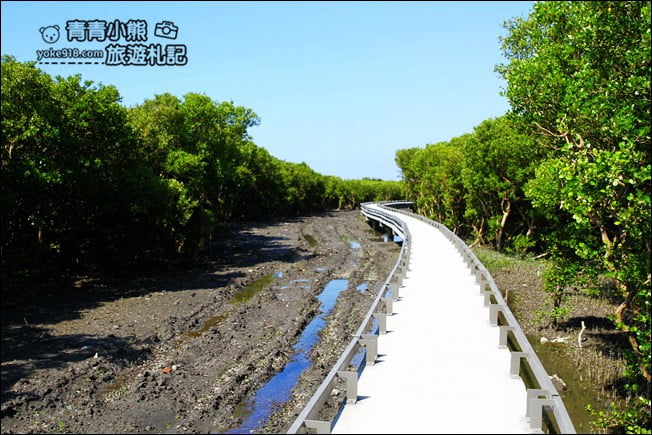 彰化新景點》芳苑濕地海空步道.最新紅樹林溼地步道~來去散散步 @青青小熊*旅遊札記 彰化新景點》芳苑濕地海空步道.最新紅樹林溼地步道~來去散散步 @青青小熊*旅遊札記
