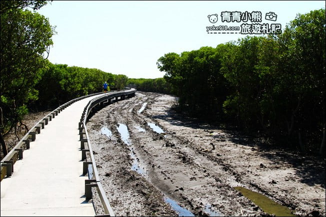 彰化新景點》芳苑濕地海空步道.最新紅樹林溼地步道~來去散散步 @青青小熊*旅遊札記 彰化新景點》芳苑濕地海空步道.最新紅樹林溼地步道~來去散散步 @青青小熊*旅遊札記