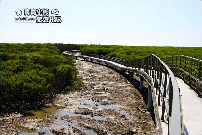 彰化新景點》芳苑濕地海空步道.最新紅樹林溼地步道~來去散散步 @青青小熊*旅遊札記 彰化新景點》芳苑濕地海空步道.最新紅樹林溼地步道~來去散散步 @青青小熊*旅遊札記