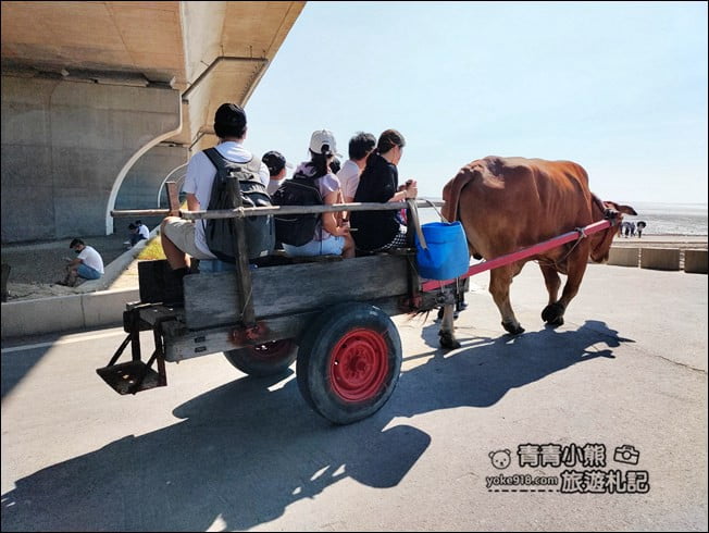 彰化新景點》芳苑濕地海空步道.最新紅樹林溼地步道~來去散散步 @青青小熊*旅遊札記 彰化新景點》芳苑濕地海空步道.最新紅樹林溼地步道~來去散散步 @青青小熊*旅遊札記