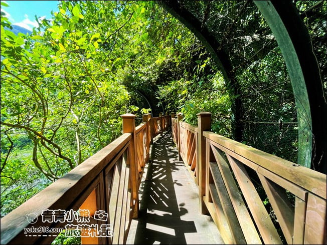 花蓮景點》小錐麓步道.太魯閣秘境景點,親子同遊~繩索吊橋輕鬆挑戰 @青青小熊*旅遊札記 花蓮景點》小錐麓步道.太魯閣秘境景點,親子同遊~繩索吊橋輕鬆挑戰 @青青小熊*旅遊札記