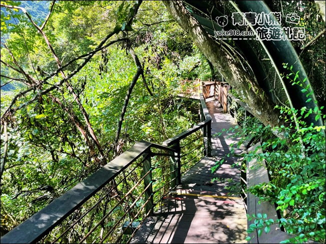 花蓮景點》小錐麓步道.太魯閣秘境景點,親子同遊~繩索吊橋輕鬆挑戰 @青青小熊*旅遊札記 花蓮景點》小錐麓步道.太魯閣秘境景點,親子同遊~繩索吊橋輕鬆挑戰 @青青小熊*旅遊札記
