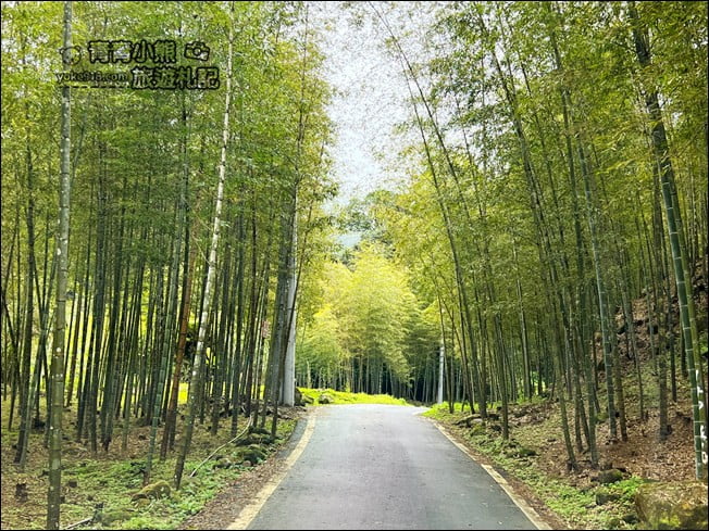 南投景點》竹亭咖啡．仙氣飄飄~隱藏在溪頭竹林中的森林系咖啡廳 @青青小熊＊旅遊札記