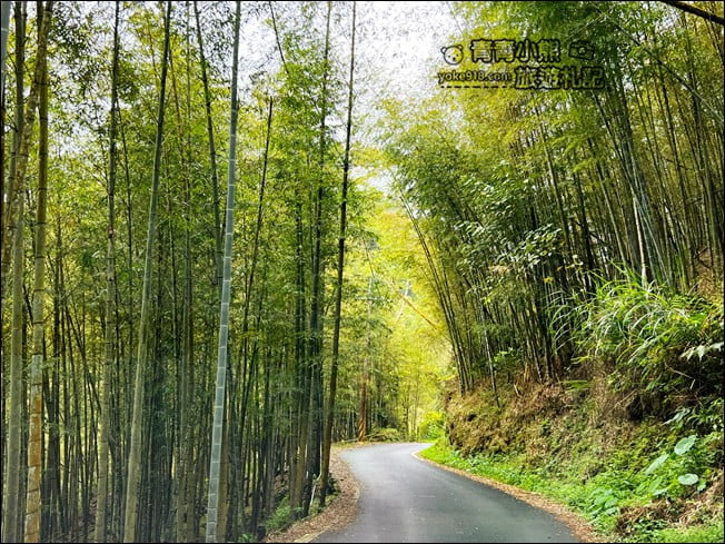 南投景點》竹亭咖啡.仙氣飄飄~隱藏在溪頭竹林中的森林系咖啡廳 @青青小熊*旅遊札記 南投景點》竹亭咖啡.仙氣飄飄~隱藏在溪頭竹林中的森林系咖啡廳 @青青小熊*旅遊札記