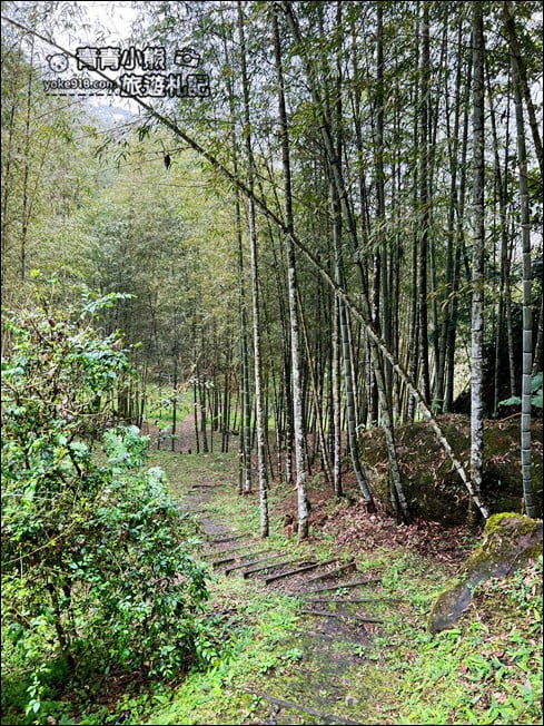 南投景點》竹亭咖啡.仙氣飄飄~隱藏在溪頭竹林中的森林系咖啡廳 @青青小熊*旅遊札記 南投景點》竹亭咖啡.仙氣飄飄~隱藏在溪頭竹林中的森林系咖啡廳 @青青小熊*旅遊札記