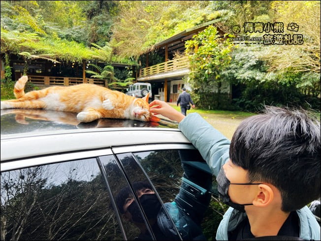 南投景點》竹亭咖啡.仙氣飄飄~隱藏在溪頭竹林中的森林系咖啡廳 @青青小熊*旅遊札記 南投景點》竹亭咖啡.仙氣飄飄~隱藏在溪頭竹林中的森林系咖啡廳 @青青小熊*旅遊札記