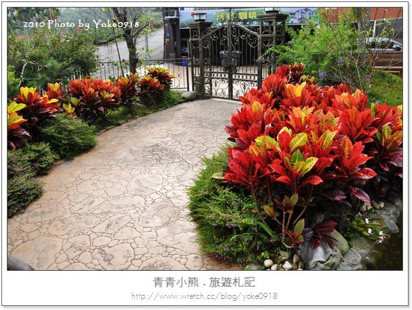 溪頭二日遊~溪頭住宿-仙知味渡假山莊民宿 @青青小熊*旅遊札記 溪頭二日遊~溪頭住宿-仙知味渡假山莊民宿 @青青小熊*旅遊札記