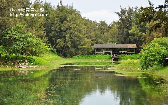 台東旅遊景點》琵琶湖&台東森林公園．我們の輕旅行 @青青小熊＊旅遊札記