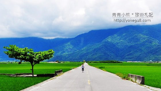 台東旅遊景點》伯朗廣告拍攝場景．伯朗大道&大坡池 @青青小熊＊旅遊札記