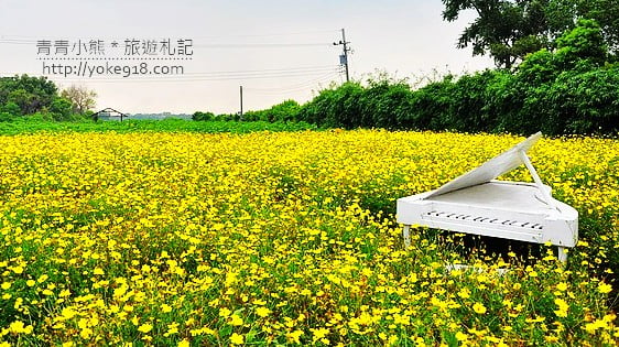 台中旅遊景點》夢幻花園．中社觀光花市賞花去 @青青小熊＊旅遊札記