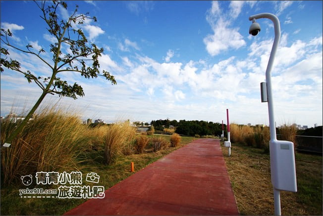 台中新景點》中央公園．12感官設施，有台中之肺，綠寶石稱號的新網美打卡景點 @青青小熊＊旅遊札記