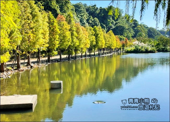桃園景點》大溪月眉人工溼地生態公園~落羽松秘境,天空之鏡賞景去 @青青小熊*旅遊札記 桃園景點》大溪月眉人工溼地生態公園~落羽松秘境,天空之鏡賞景去 @青青小熊*旅遊札記
