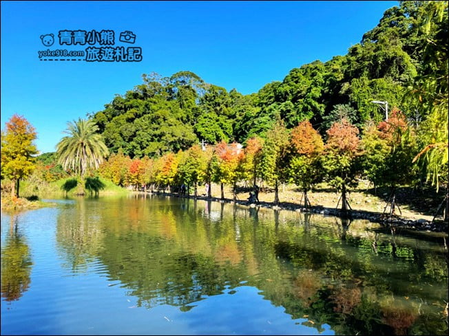 桃園景點》大溪月眉人工溼地生態公園~落羽松秘境,天空之鏡賞景去 @青青小熊*旅遊札記 桃園景點》大溪月眉人工溼地生態公園~落羽松秘境,天空之鏡賞景去 @青青小熊*旅遊札記