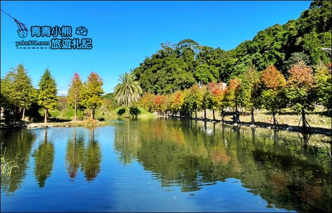 桃園景點》大溪月眉人工溼地生態公園~落羽松秘境,天空之鏡賞景去 @青青小熊*旅遊札記 桃園景點》大溪月眉人工溼地生態公園~落羽松秘境,天空之鏡賞景去 @青青小熊*旅遊札記
