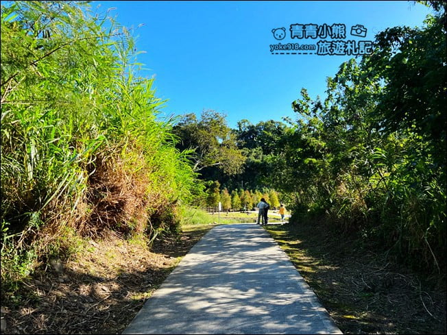 桃園景點》大溪月眉人工溼地生態公園~落羽松秘境，天空之鏡賞景去 @青青小熊＊旅遊札記
