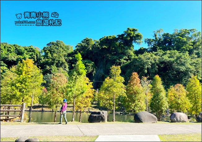 桃園景點》大溪月眉人工溼地生態公園~落羽松秘境,天空之鏡賞景去 @青青小熊*旅遊札記