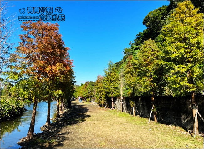 桃園景點》大溪月眉人工溼地生態公園~落羽松秘境,天空之鏡賞景去 @青青小熊*旅遊札記
