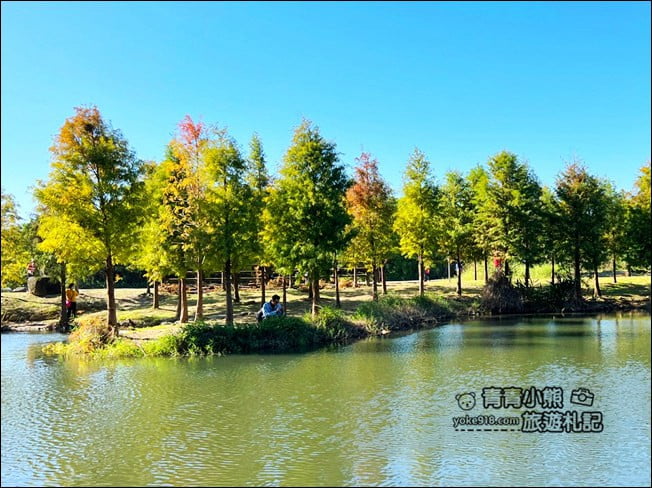 桃園景點》大溪月眉人工溼地生態公園~落羽松秘境,天空之鏡賞景去 @青青小熊*旅遊札記