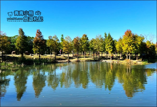 桃園景點》大溪月眉人工溼地生態公園~落羽松秘境,天空之鏡賞景去 @青青小熊*旅遊札記 桃園景點》大溪月眉人工溼地生態公園~落羽松秘境,天空之鏡賞景去 @青青小熊*旅遊札記