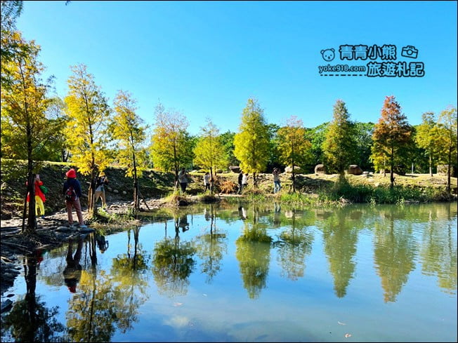 桃園景點》大溪月眉人工溼地生態公園~落羽松秘境,天空之鏡賞景去 @青青小熊*旅遊札記 桃園景點》大溪月眉人工溼地生態公園~落羽松秘境,天空之鏡賞景去 @青青小熊*旅遊札記