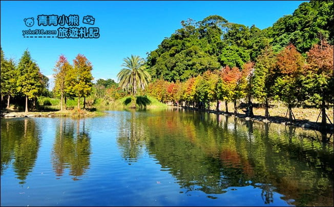 桃園景點》大溪月眉人工溼地生態公園~落羽松秘境,天空之鏡賞景去 @青青小熊*旅遊札記